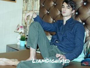 LiamDignified
