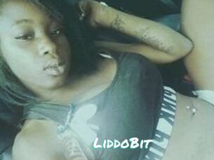 LiddoBit