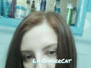 LilGingerCat