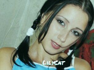 Lily_Cat_