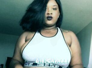 Lily_Cavalli
