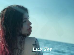 Lily_Jay