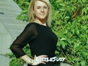 LittleSusy