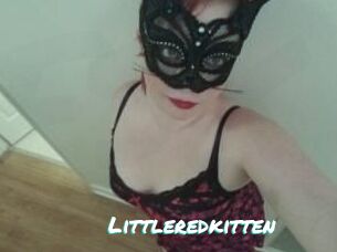Littleredkitten