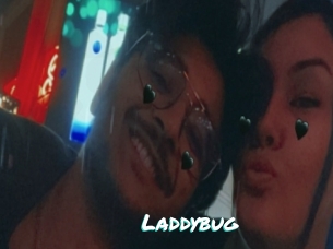 Laddybug