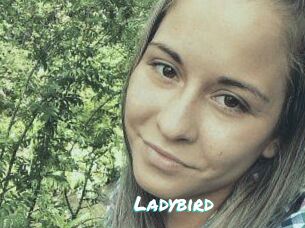 Ladybird