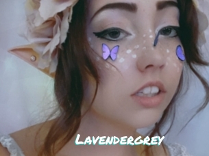Lavendergrey