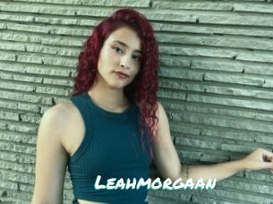 Leahmorgaan