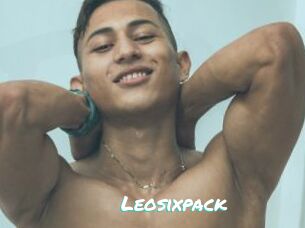 Leosixpack
