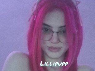 Lillipupp