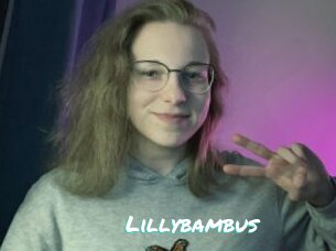 Lillybambus