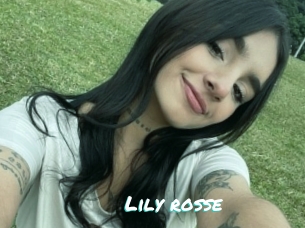 Lily_rosse