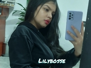 Lilybosse