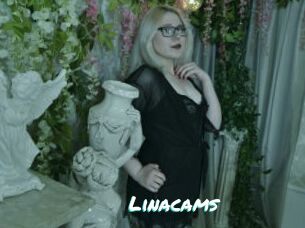 Linacams