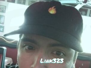 Link323