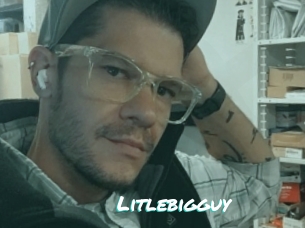 Litlebigguy