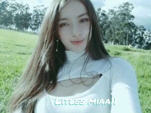 Litlee_miaa11