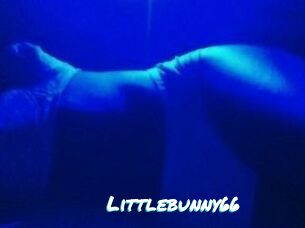 Littlebunny66