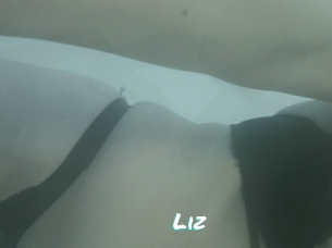 Liz