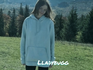 Lladybugg