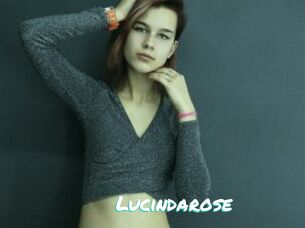 Lucindarose