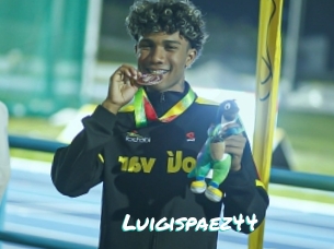 Luigispaez44