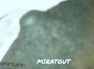 MIRATOUT