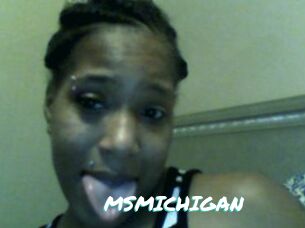 MSMICHIGAN