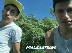 Malehotboys