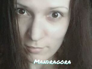 Mandragora
