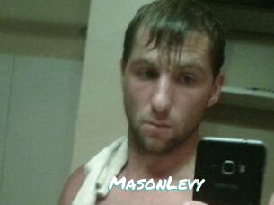 Mason_Levy