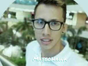 MateoHawk