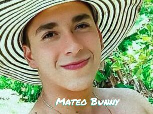 Mateo_Bunny