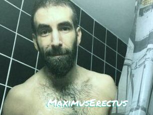 MaximusErectus