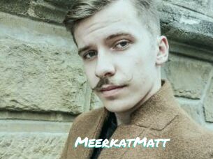 MeerkatMatt