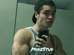 MikeStud