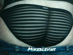Mikeblevins
