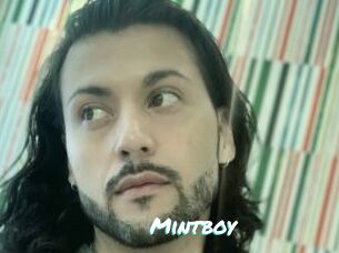 Mintboy