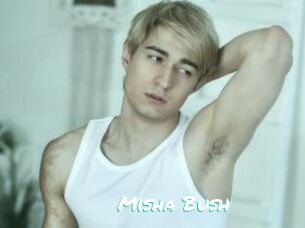 Misha_Bush