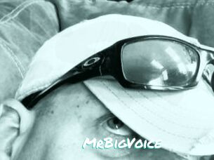 MrBigVoice