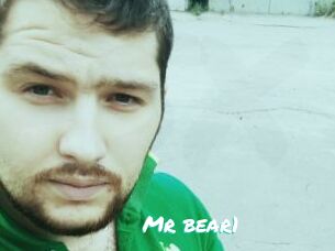 Mr_bear1