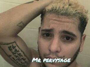 Mr_pervysage