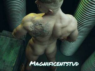 Magnificentstud