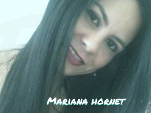 Mariana_hornet