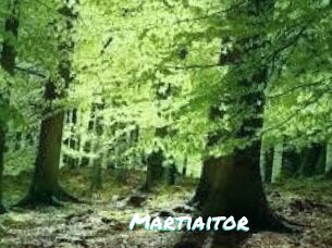 Martiaitor