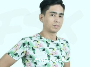 Matlogical