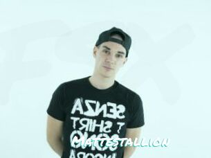 Mattestallion