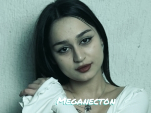 Meganecton