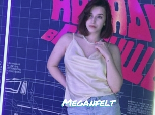 Meganfelt
