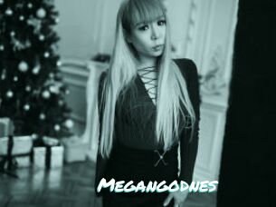 Megangodnes